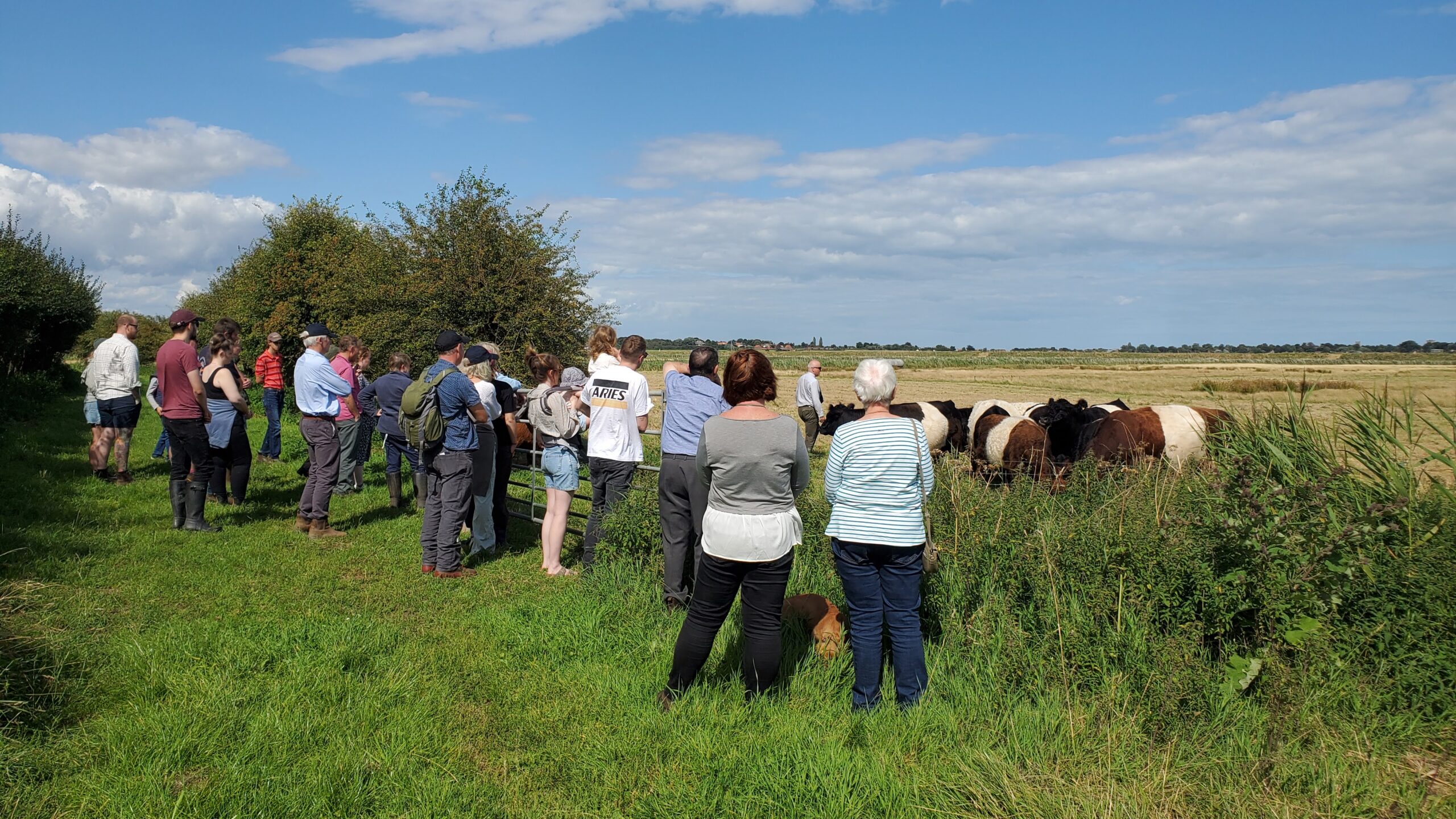 2023 East Anglian Herd Visit – Sunday 13th August – Two Mills Herd East Suffolk