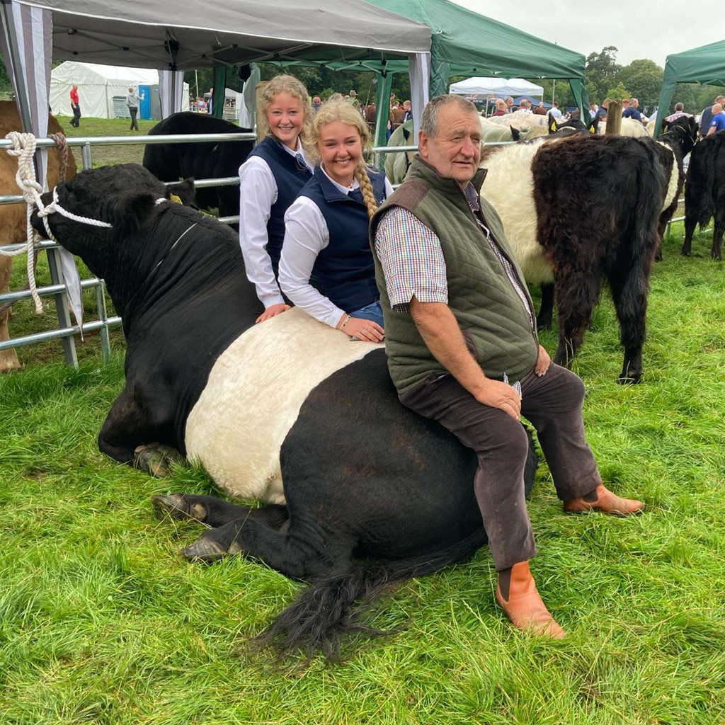 Belted Galloway Club Ireland year in review